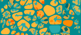 On the cover: Voronoi diagrams and generative art